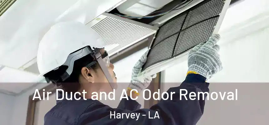 Air Duct and AC Odor Removal Harvey - LA