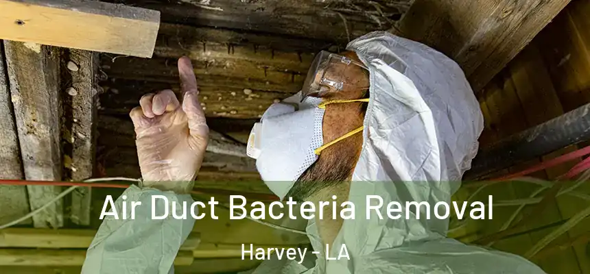  Air Duct Bacteria Removal Harvey - LA