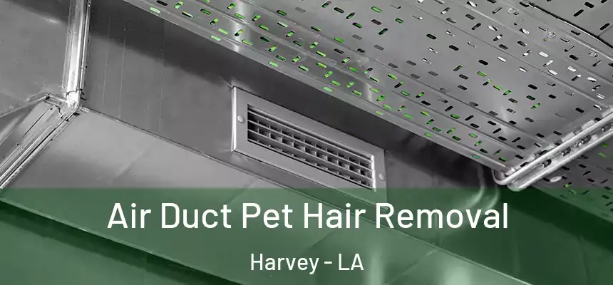 Air Duct Pet Hair Removal Harvey - LA