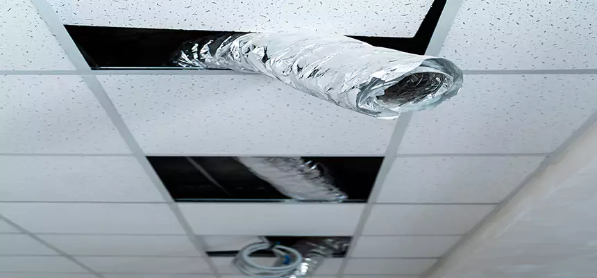 Our Air Duct Pet Hair Removal Services in Harvey, LA