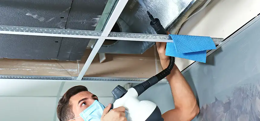 Our Air Duct Rodent Removal Services in Harvey, LA