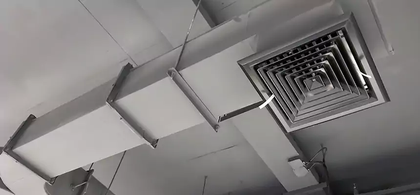 Restorative Allergy Relief Vent Cleaning – Coil, Blower & Housing Detail in Harvey