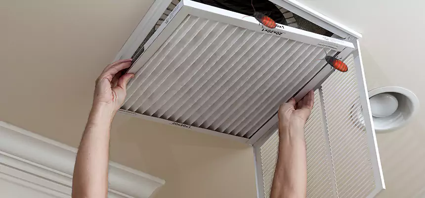 Our Insect Removal from Air Ducts Services in Harvey, LA
