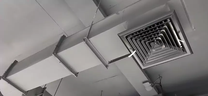 Our Pest Removal From Ducts Services in Harvey, LA