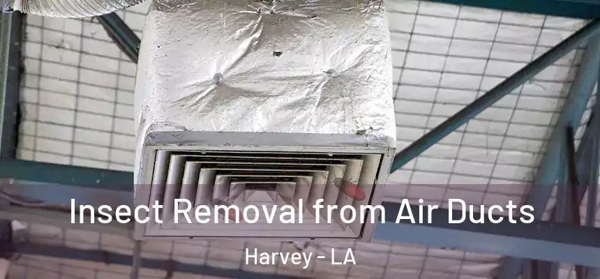 Insect Removal from Air Ducts Harvey - LA