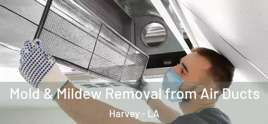  Mold & Mildew Removal from Air Ducts Harvey - LA