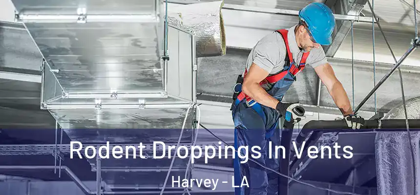  Rodent Droppings In Vents Harvey - LA