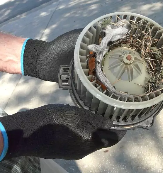 About Air Duct Mice Removal in Harvey, LA