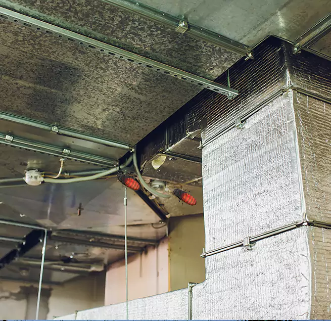 Why Homeowners & Businesses Trust Us in Harvey, LA?