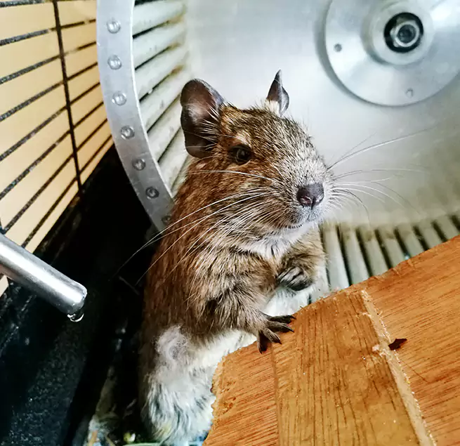 Why Homeowners & Businesses Trust Us Harvey, LA