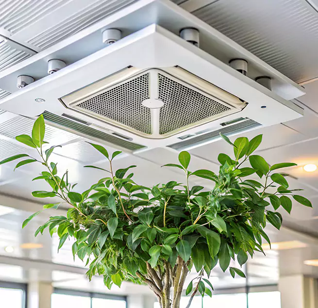 Why Homeowners & Businesses Trust Us in Harvey, LA