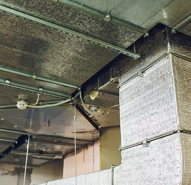 Why Homeowners & Businesses Trust Us in Harvey, LA?